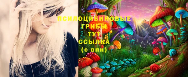 винт Краснослободск