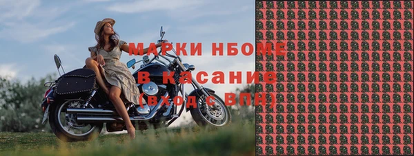эйфоретик Алзамай