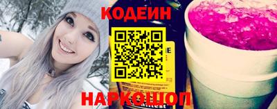 индика Гатчина