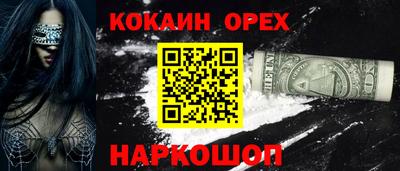 индика Гатчина