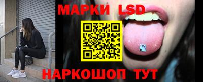 индика Гатчина