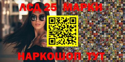 индика Гатчина