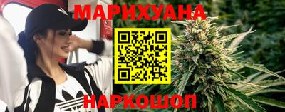 индика Гатчина
