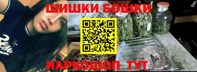 индика Гатчина