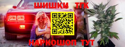 индика Гатчина