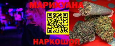 индика Гатчина
