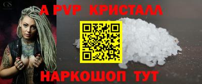 индика Гатчина