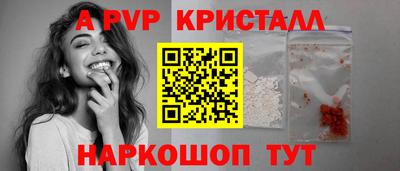 индика Гатчина