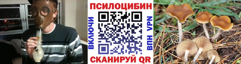наркота  Тихорецк  hydra ONION  Галлюциногенные грибы Magic Shrooms 
